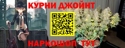 шишки Моздок