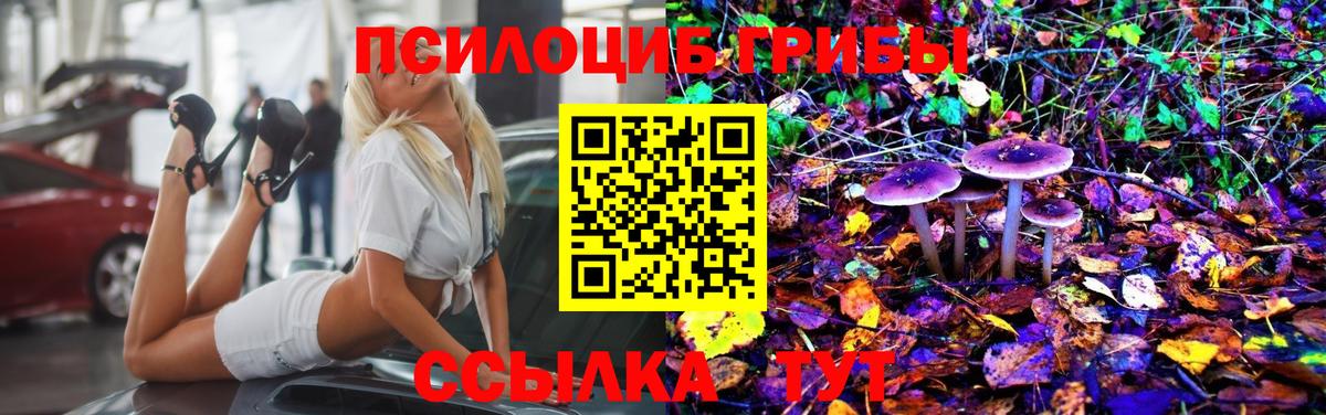 Псилоцибиновые грибы GOLDEN TEACHER Ярцево